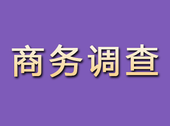 安徽商务调查